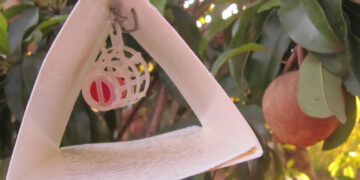 Colima es declarada entidad libre de mosca del Mediterráneo