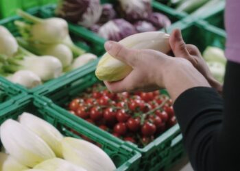 EE.UU. aumenta la demanda de productos ecológicos