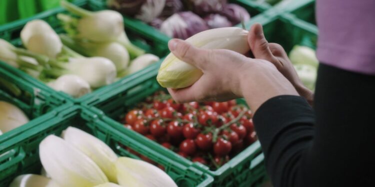 EE.UU. aumenta la demanda de productos ecológicos