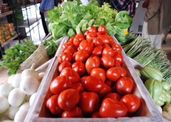 Entregan despensas con alimentos orgánicos en Michoacán