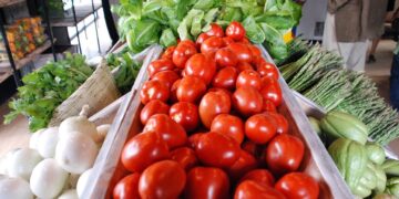 Entregan despensas con alimentos orgánicos en Michoacán