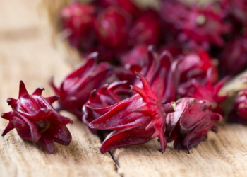 Investigador propone uso de desinfectante a base de jamaica