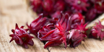 Investigador propone uso de desinfectante a base de jamaica