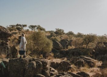 Joven española crea marca de bolsos 100% biodegradables