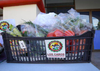 Productores de Los Cabos invitan a impulsar consumo local