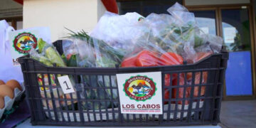 Productores de Los Cabos invitan a impulsar consumo local