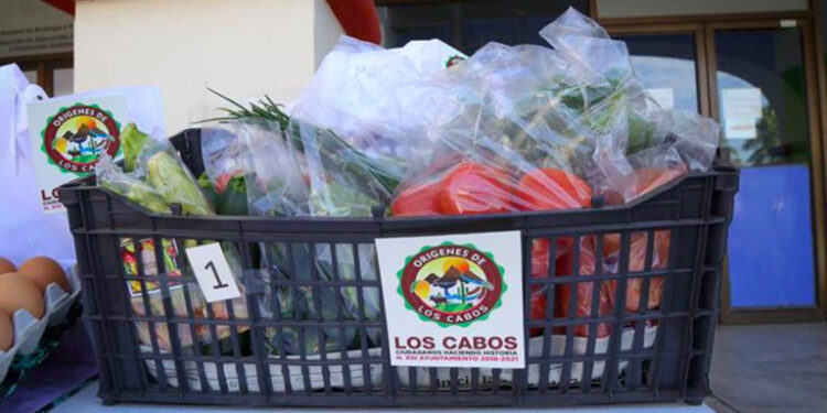 Productores de Los Cabos invitan a impulsar consumo local