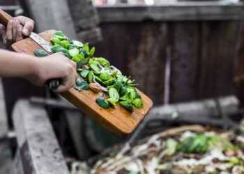 Residuos de alimentos orgánicos, ideales para composta casera