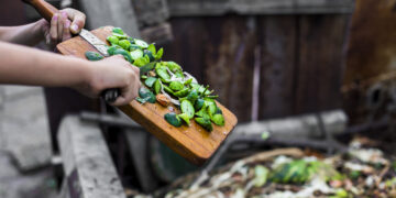 Residuos de alimentos orgánicos, ideales para composta casera