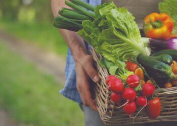 ¿Sabes qué diferencias hay entre los alimentos eco, bio y orgánicos?