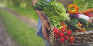 ¿Sabes qué diferencias hay entre los alimentos eco, bio y orgánicos?