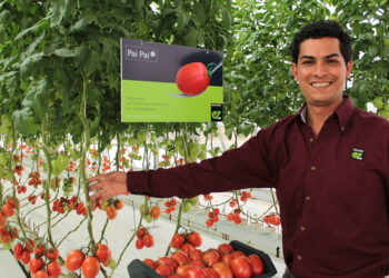 Vitalis cumple 25 años de ofrecer semillas orgánicas que marcan la diferencia