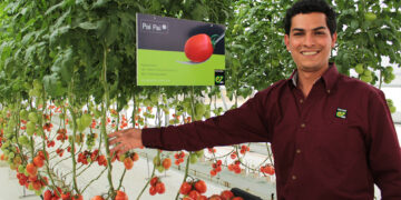 Vitalis cumple 25 años de ofrecer semillas orgánicas que marcan la diferencia