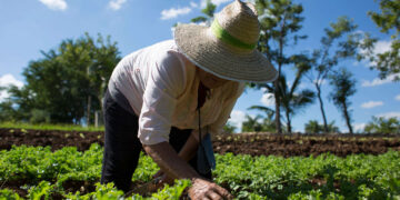 Agroecología gana terreno ante la COVID-19