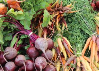 Argentina ocupa el segundo lugar mundial en producción de orgánicos