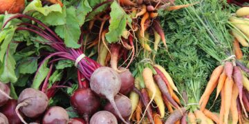 Argentina ocupa el segundo lugar mundial en producción de orgánicos