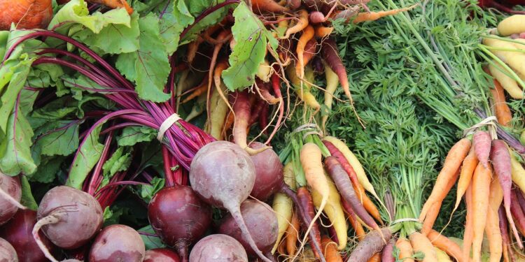 Argentina ocupa el segundo lugar mundial en producción de orgánicos