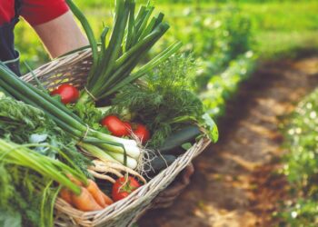 Crece la demanda de alimentos orgánicos durante la pandemia