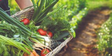 Crece la demanda de alimentos orgánicos durante la pandemia