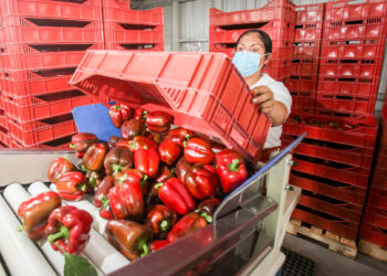 El agro debe optimizar el comercio y control sanitario, afirma especialista