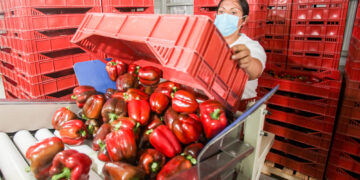 El agro debe optimizar el comercio y control sanitario, afirma especialista