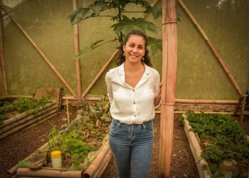 Especialista promueve el cultivo en camas capilares