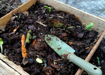 Promueven elaboración de insumos y huertos orgánicos