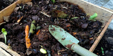 Promueven elaboración de insumos y huertos orgánicos