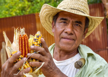 Agricultura de conservación contra la sequía y desertificación