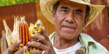 Agricultura de conservación contra la sequía y desertificación