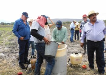 Alerta especialista sobre efecto de COVID-19 en el abasto alimentario