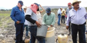 Alerta especialista sobre efecto de COVID-19 en el abasto alimentario
