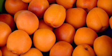 Aumenta la demanda de albaricoques ecológicos en EEUU