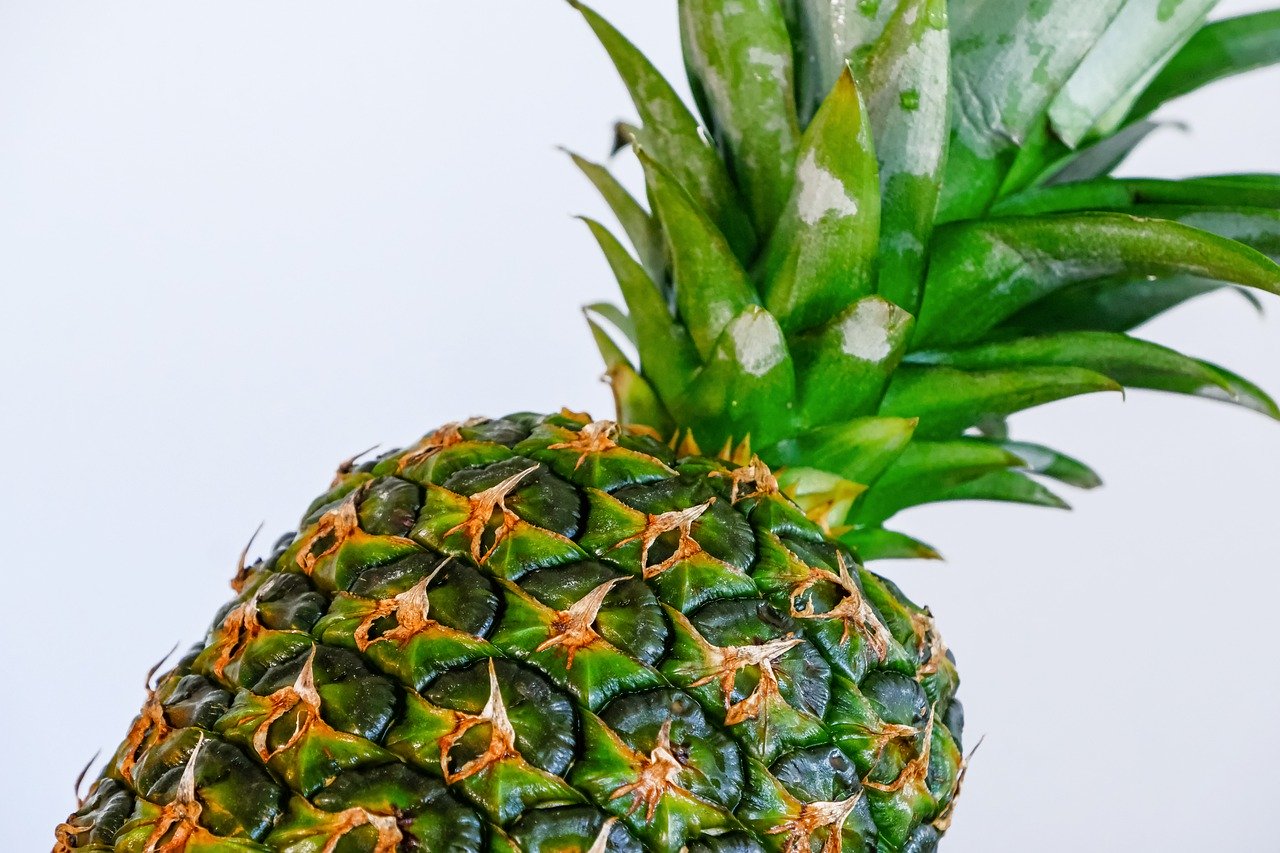 En Perú, elaborarán empaques biodegradables con residuos de tuna y piña ...