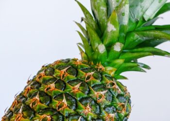 En Perú, elaborarán empaques biodegradables con residuos de tuna y piña