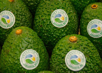 Experto destaca la importancia de la certificación orgánica