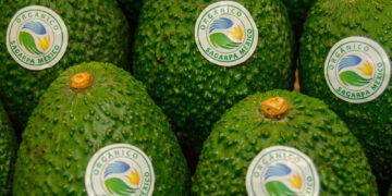 Experto destaca la importancia de la certificación orgánica