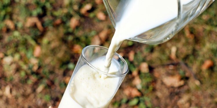 Leche, alimento esencial para la nutrición y el sistema inmunológico