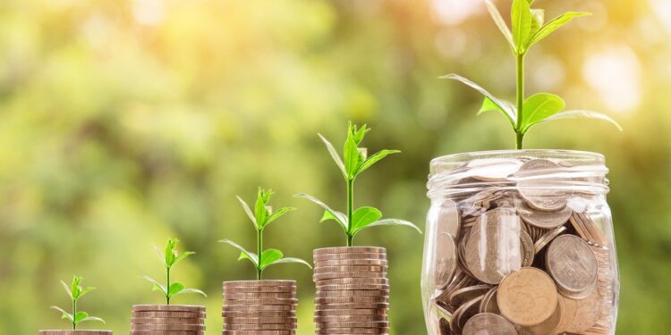 Cultivando nuestras finanzas
