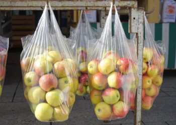 Empresas crean bolsas biodegradables con papa y alcohol