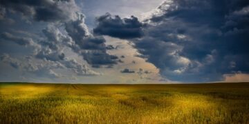 La salinización del suelo amenaza a la agricultura de todo el planeta