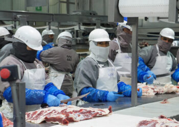 México busca ampliar exportación de cárnicos frescos a China