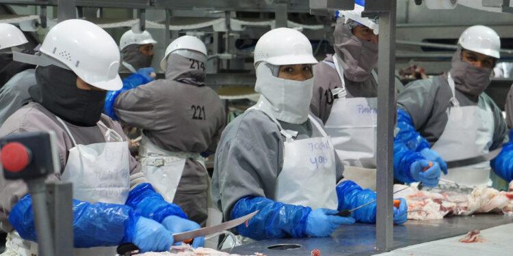 México busca ampliar exportación de cárnicos frescos a China