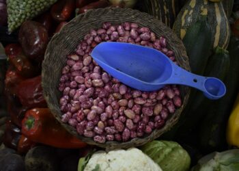 Capacitarán a productores de la mixteca oaxaqueña en producción de hortalizas