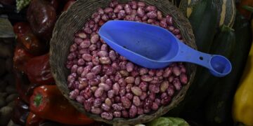 Capacitarán a productores de la mixteca oaxaqueña en producción de hortalizas