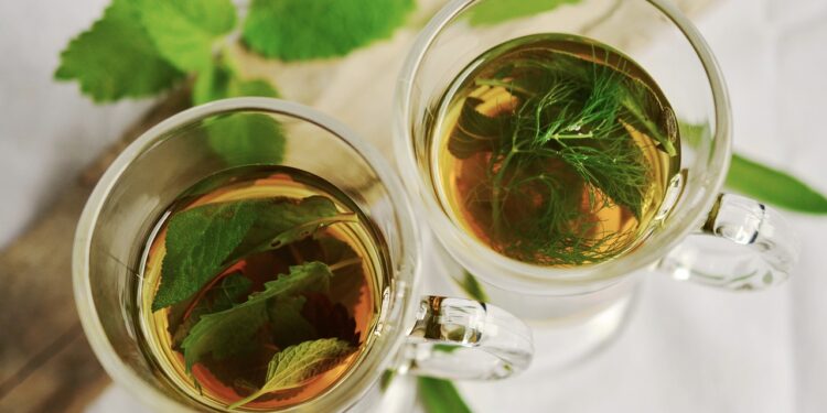 Conoce los múltiples beneficios de la menta
