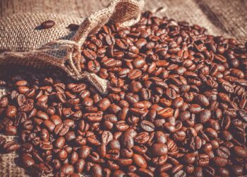 Crecen exportaciones de orgánicos latinoamericanos hacia la UE