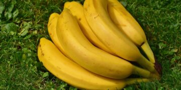 Recetas de abonos orgánicos fáciles y económicos