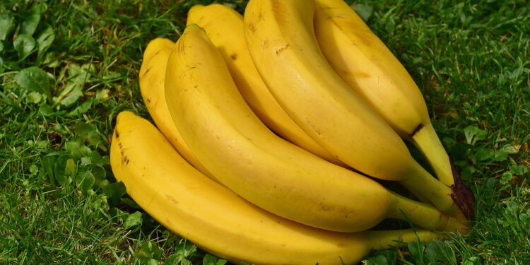 Recetas de abonos orgánicos fáciles y económicos