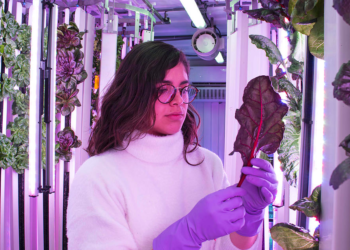 Verde Compacto aporta soluciones para una agricultura sostenible